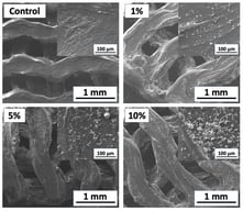 SEM images of the control sample and the samples with HAp immobilized from suspensions with various concentrations (magnification ×100, magnification ×1000 in the inserts).