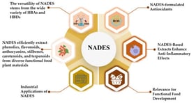 Global research trends and scientific landscape of DES and NADES. (a) Annual number of publications on DES and NADES from 2010 to 2025, illustrating rapid growth in scientific interest, especially in the past decade. Data retrieved from Scopus (search terms: “natural deep eutectic solvent”; document types: articles and reviews; and search date: December 2025). (b) Leading countries contributing to NADES research, highlighting strong activity in China and growing participation across Europe, Asia, and the Americas. (c) Distribution of publications by field of knowledge, showing the dominance of chemistry and chemical engineering, with emerging relevance in food science, biotechnology, medicine, and environmental science. (d) Word cloud of research keywords associated with NADES, emphasizing core themes such as “deep eutectic”, “solvent”, “extraction”, “green”, and “choline chloride”, which reflect key application areas in green extraction and functional food science.