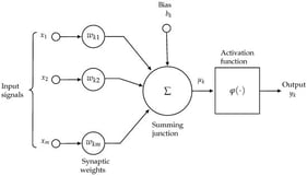 The neuron nonlinear model.