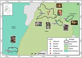 Sample collection sites located in the Colombian Andes. The map was generated using ArcGIS version 10.8 (ESRI, Redlands, CA, USA). Reproduced with permission of the author. Alvaro Alexander Dávila-Giraldo.