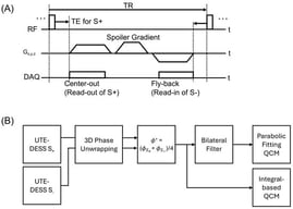 UTE-QCM. (A) Pulse sequence diagram of 3D radial-based UTE-DESS and (B) the framework of UTE-QCM. The phase maps of the S+ and S− images from UTE-DESS were first phase-unwrapped and subsequently used for calculation of the B1+ phase. The resulting B1+ phase was then processed using two QCM methods: Parabolic fitting-based QCM and integral-based QCM. For the parabolic fitting-based QCM, a bilateral filter was applied to reduce noise in the B1+ phase maps (RF: radiofrequency, DAQ: data acquisition, Gx,y,z: x, y, and z gradients).