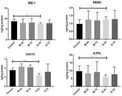 Graphical representation of UPR protein levels in Magnevist- and Dotarem-treated rats compared with the control group (* p < 0.05; ** p < 0.01). M-24, Magnevist at 24 h; M-72, Magnevist at 72 h; D-24, Dotarem at 24 h; D-72, Dotarem at 72 h; IRE-1, inositol-requiring enzyme 1; PERK, protein kinase RNA-like endoplasmic reticulum kinase; DDIT3, DNA damage-inducible transcript 3 (CHOP); ATF6, activating transcription factor 6.
