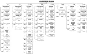 Multidimensional resilience analysis model.