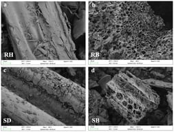 Surface morphology and chemical functionality of raw biomasses and their biochars produced at 550 °C: (a–d) SEM micrographs, (e,f) FTIR spectra highlighting functional group, and (g,h) high-resolution C 1 s XPS profiles revealing carbon speciation. Rice husk (RH), sawdust (SD), rice husk biochar (RB), and sawdust biochar (SB).