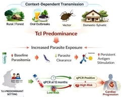 Baseline acute clinical manifestations by DTU group. Bars represent the proportion of acute cases reporting each manifestation at presentation, stratified by DTU group (TcI, n = 67; non-TcI, n = 34). Data are presented for descriptive purposes only; no hypothesis testing was performed. Error bars represent 95% binomial confidence intervals.