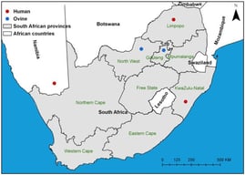 Map showing the origin of Burkholderia pseudomallei isolates included in this study. Coloured markers indicate human (red) and ovine (blue) cases from South Africa and Namibia (created with ArcGIS Pro 2.3.0).