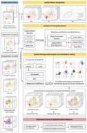 Research processing for this study. Different research stages are indicated by distinct colored title boxes: blue for data preparation and variable selection, yellow for spatial analysis and mechanism identification, and red for spatial validation.