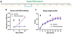 Serum anti-FSH antibody titers (absorbance at 450 nm) and body weight profile in male mice following immunization against FSHβ13AA-T-OVA. (A) The receptor-binding sequence of human (h) FSH β subunit. (B) Serum anti-FSH antibody titers. Microwell plates were coated with FSHβ13AA-T and incubated with sera collected from male mice vaccinated against FSHβ13AA-T-OVA or placebo emulsion. Arrows indicate time of vaccination. (C) Body weight profile in male mice following immunization against FSHβ13AA-T-OVA. * p < 0.05.