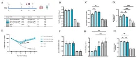 The immune response levels and protective evaluation induced by different doses of CpG-ODN adjuvant in mice: (A) Experimental groups and immunization regimen; (B) Serum antigen-specific IgG levels after immunization; (C) Serum neutralizing antibody titers after immunization; (D) Antigen-specific IgA levels in nasal lavage fluid after challenge; (E) Body weight changes after challenge; (F) Ct values for lung viral load after challenge; (G) Total lung pathology score after challenge; (H) Antigen-specific IgA in lung homogenates after challenge; (* p < 0.05; ** p < 0.01; *** p < 0.001; **** p < 0.0001; ns, not significant).
