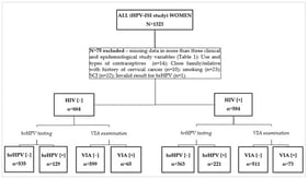 Consort flow diagram of women screened and included in the study analysis. HIV—human immunodeficiency virus; SCJ—squamocolumnar junction; VIA—visual inspection with acetic acid; hrHPV—high-risk human Papilomavirus; [−] Negative results; [+] Positive results.
