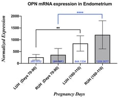 OPN mRNA expression’s fold differences in LUH and RUH of endometrial tissues during the first trimester (Days 70–90 and Days 100–110) of pregnant female camels. The black line indicates the differences in LUHs comparison, while the blue line indicates the RUHs comparison. ** is considered as p < 0.01, **** is considered as p < 0.0001.