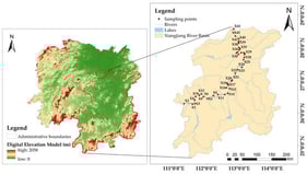 Study area and distribution of sampling points.