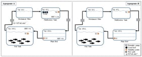 Zero-discharge recirculating aquaponic system design; Aquaponics-A (APA) with coral carbonate media and Aquaponics-B (APB) as control.