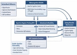 Conceptual framework illustrating hypothesized relationships between sociocultural influences (e.g., objectification/self-surveillance), metacognitive beliefs (e.g., beliefs about uncontrollability/danger and need for control), and CAS-related cognitive–attentional processes (e.g., worry/rumination, self-focused monitoring, rigid control strategies) that are associated with eating disorder psychopathology. Self-evaluative emotions (e.g., guilt/shame) are shown as potential triggers/modulators. The model is intended as hypothesis-generating and does not imply definitive causal pathways or diagnosis-specific profiles.