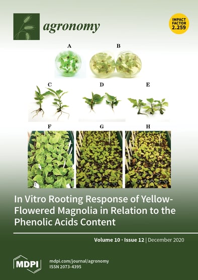 Journal Issue Cover Image