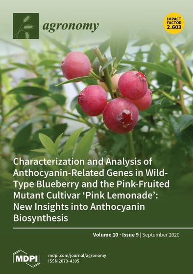 Journal Issue Cover Image