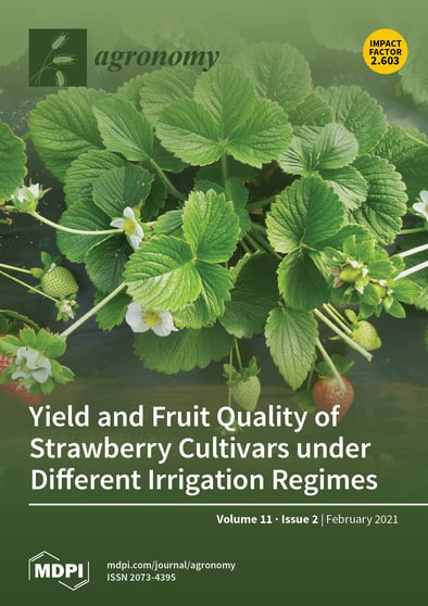 Journal Issue Cover Image