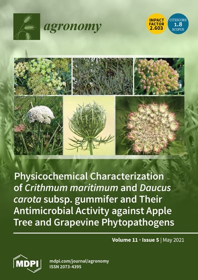 Journal Issue Cover Image