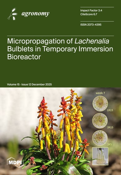 Journal Issue Cover Image