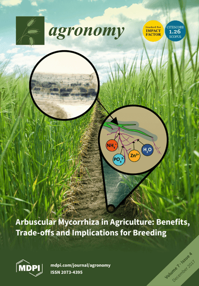 Journal Issue Cover Image