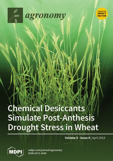 Journal Issue Cover Image