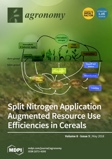 Journal Issue Cover Image