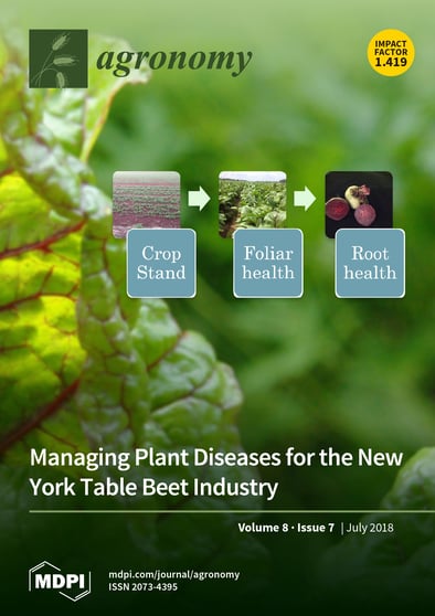 Journal Issue Cover Image