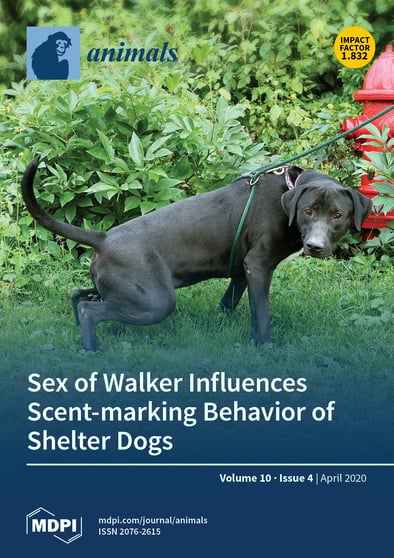 Journal Issue Cover Image