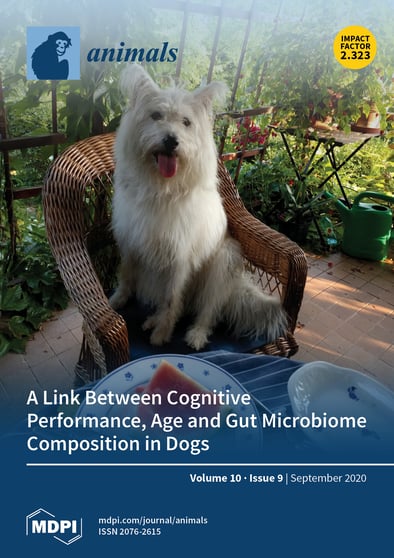 Journal Issue Cover Image