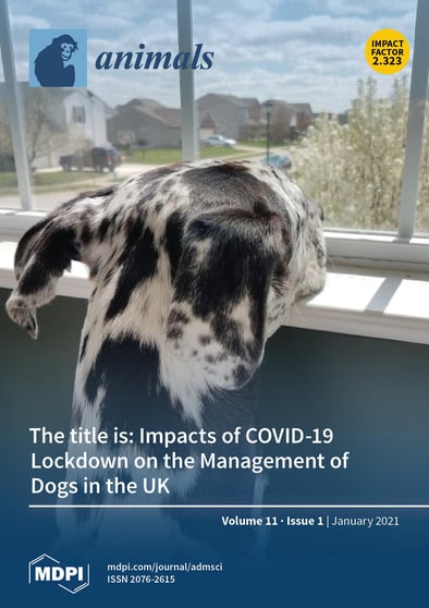 Journal Issue Cover Image