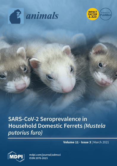 Journal Issue Cover Image