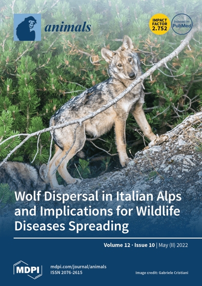 Journal Issue Cover Image