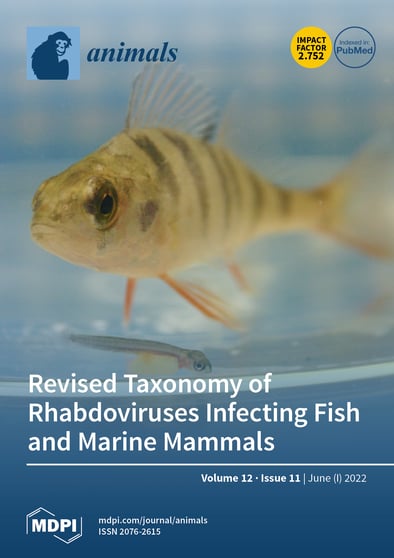 Journal Issue Cover Image