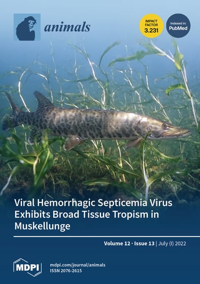 Journal Issue Cover Image