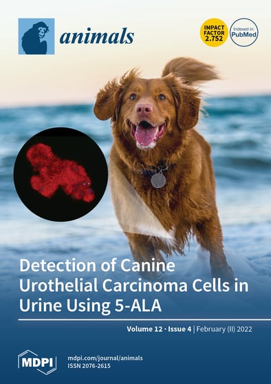 Journal Issue Cover Image