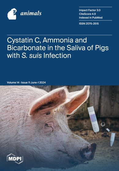 Journal Issue Cover Image