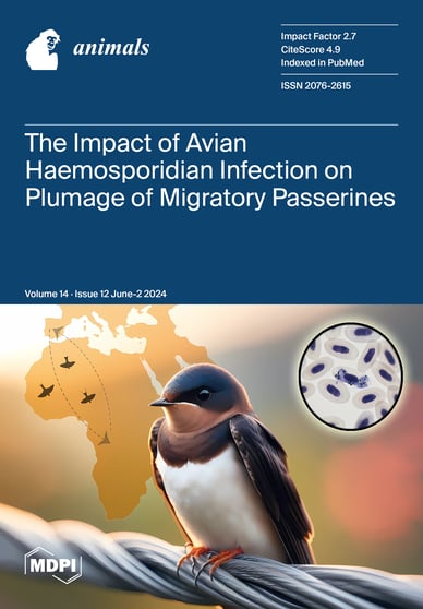 Journal Issue Cover Image