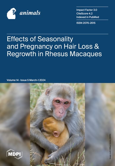 Journal Issue Cover Image