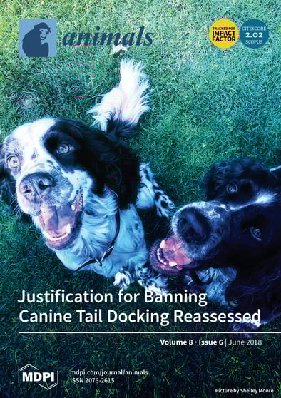 Journal Issue Cover Image