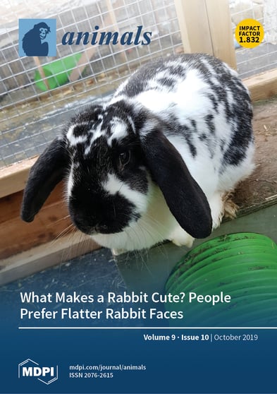 Journal Issue Cover Image