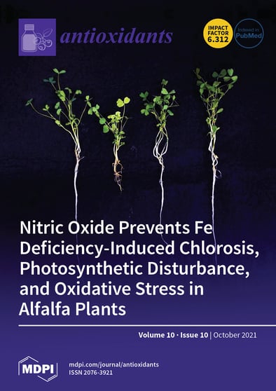 Journal Issue Cover Image