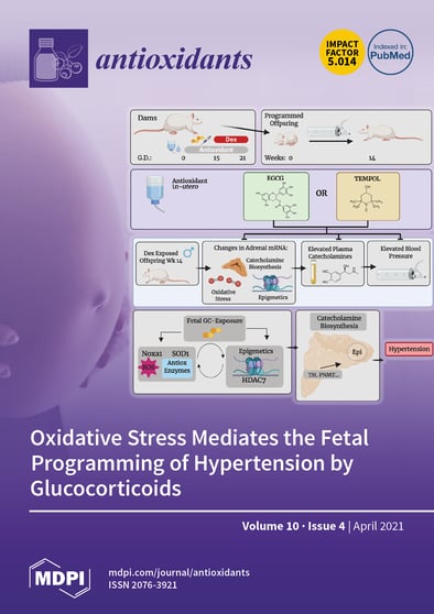 Journal Issue Cover Image