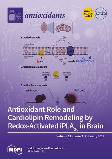 Journal Issue Cover Image