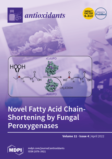 Journal Issue Cover Image