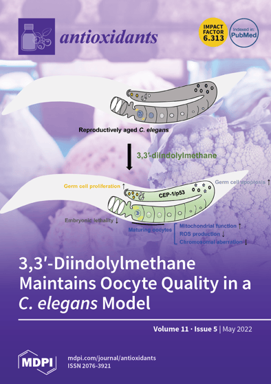 Journal Issue Cover Image