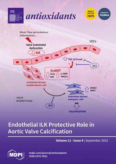 Journal Issue Cover Image
