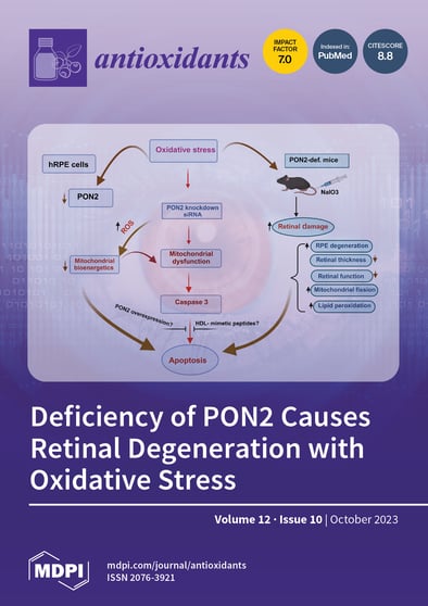 Journal Issue Cover Image