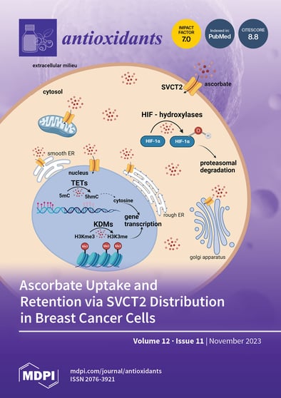 Journal Issue Cover Image
