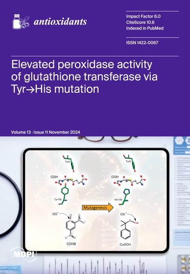 Journal Issue Cover Image