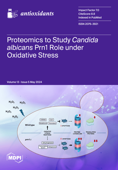 Journal Issue Cover Image